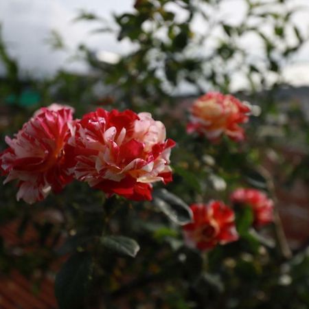 Homestay Doc Tinh Da Lat Exterior foto