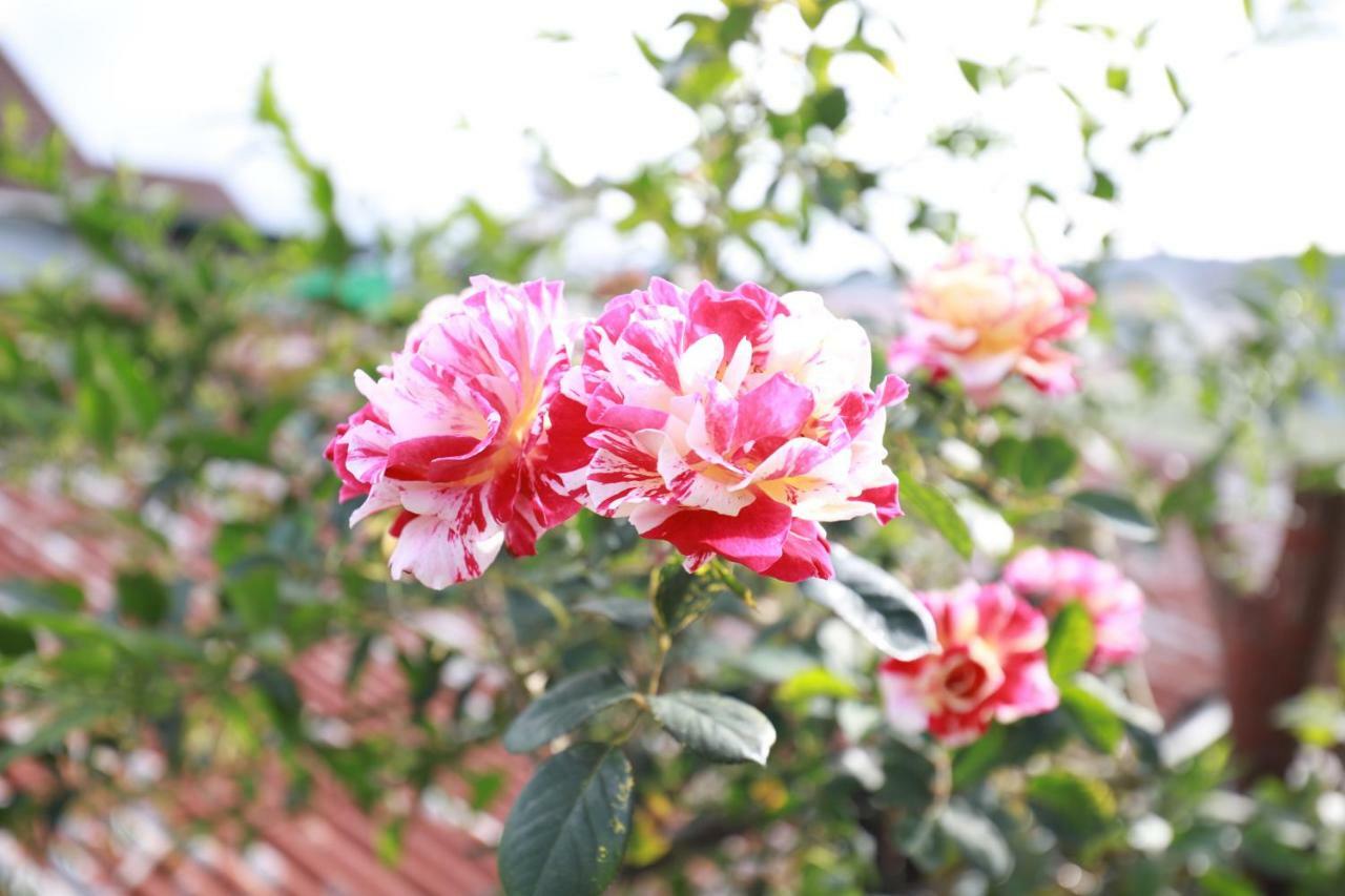 Homestay Doc Tinh Da Lat Exterior foto